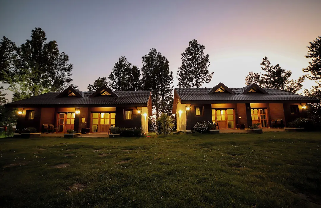 Logan Camp Ooty-1
