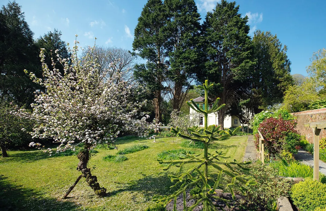 Elm Grove Country House-1