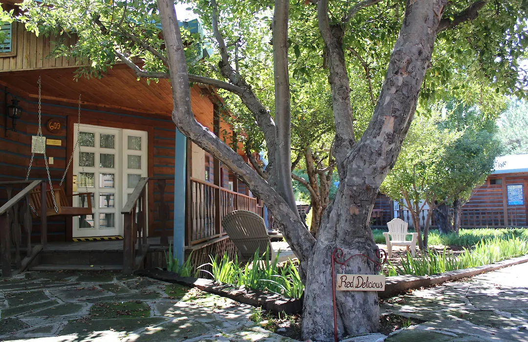 The Lodge At Creel Eco - Hotel & Spa-1