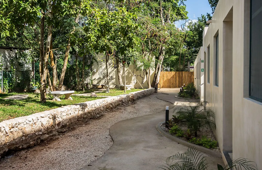 Waye Valladolid Centro - Sustainable, Authentic Experiences & Pet Friendly Boutique Hotel-1