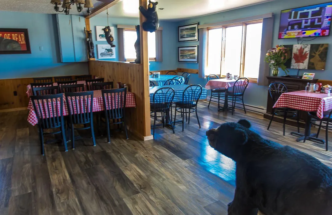 Bear Tracks Inn-1