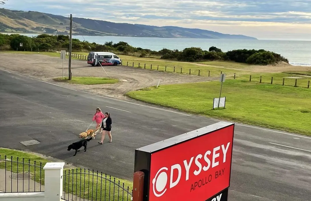 Odyssey Apollo Bay-1