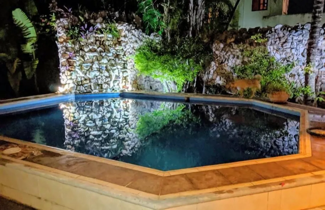 Baldwin'S Guest House Cozumel-1