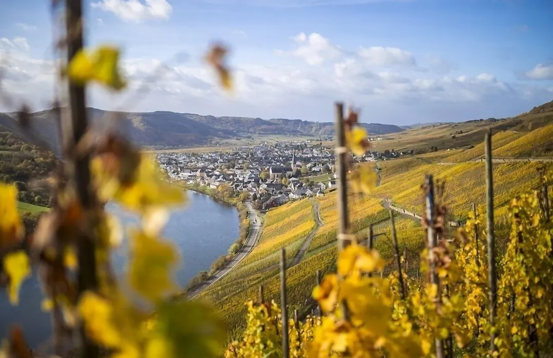 Rieslingquartier - Mosel Wein Hotel-1