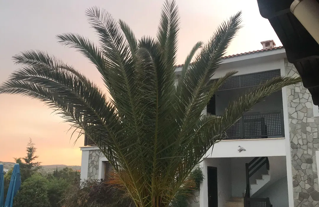 Siesta Hotel-1
