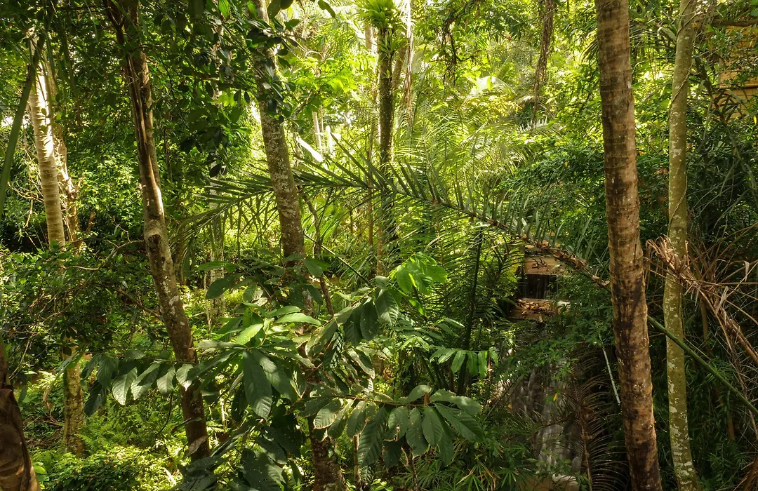 Gunung An Retreat-1