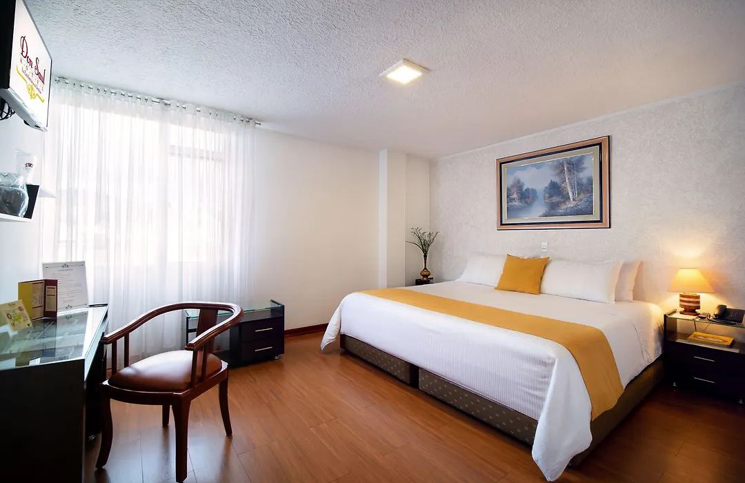 Hotel Don Saul-1