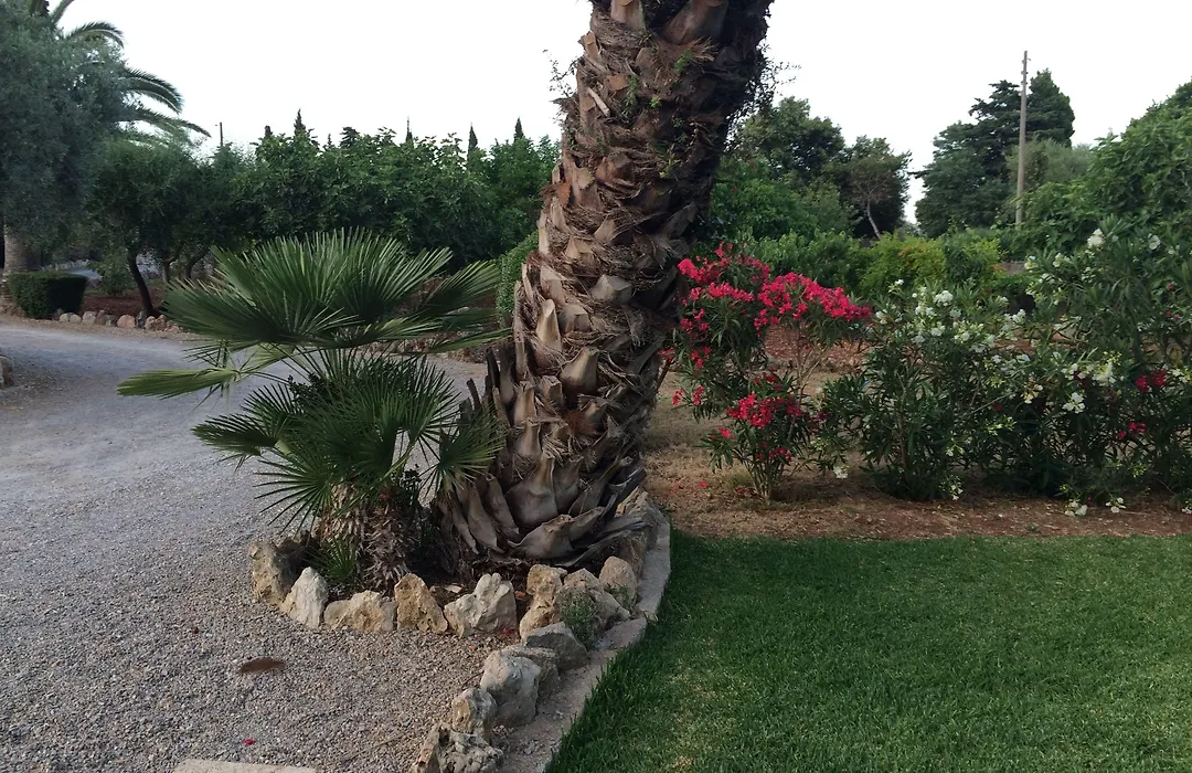 Jardí de Papallones-1