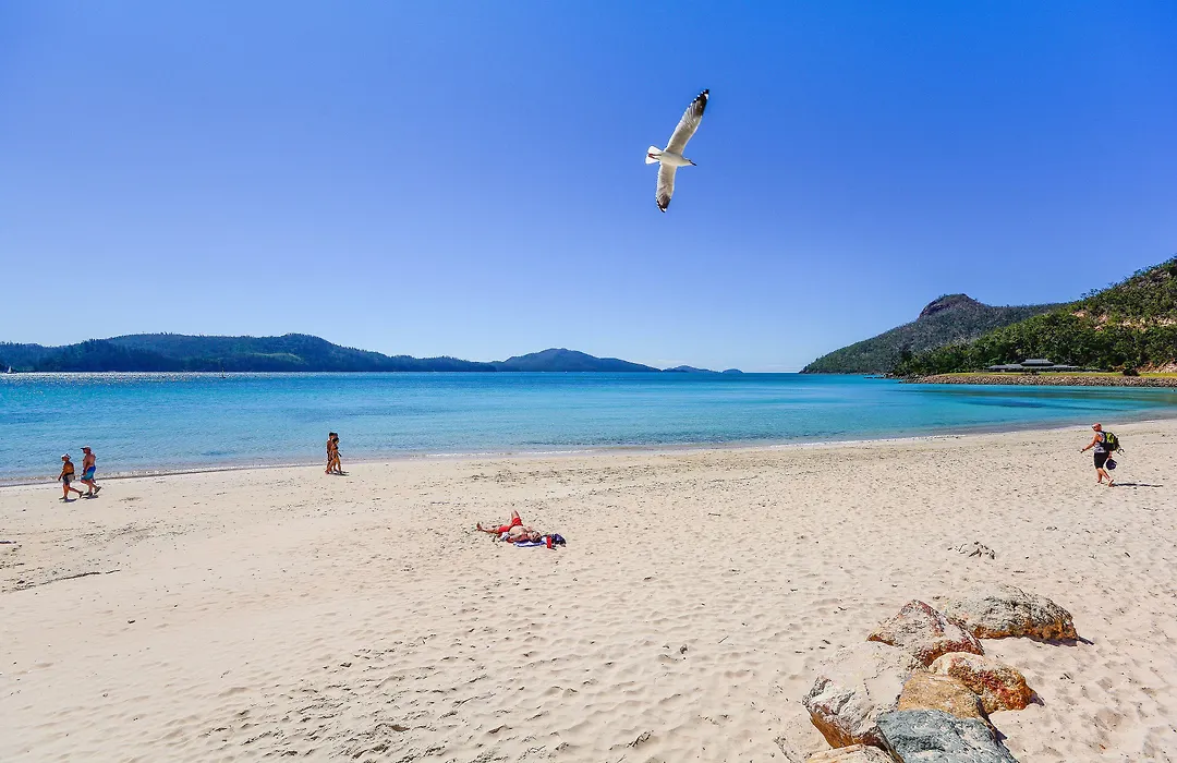 Pinnacle Apartments On Hamilton Island By Hiha-1