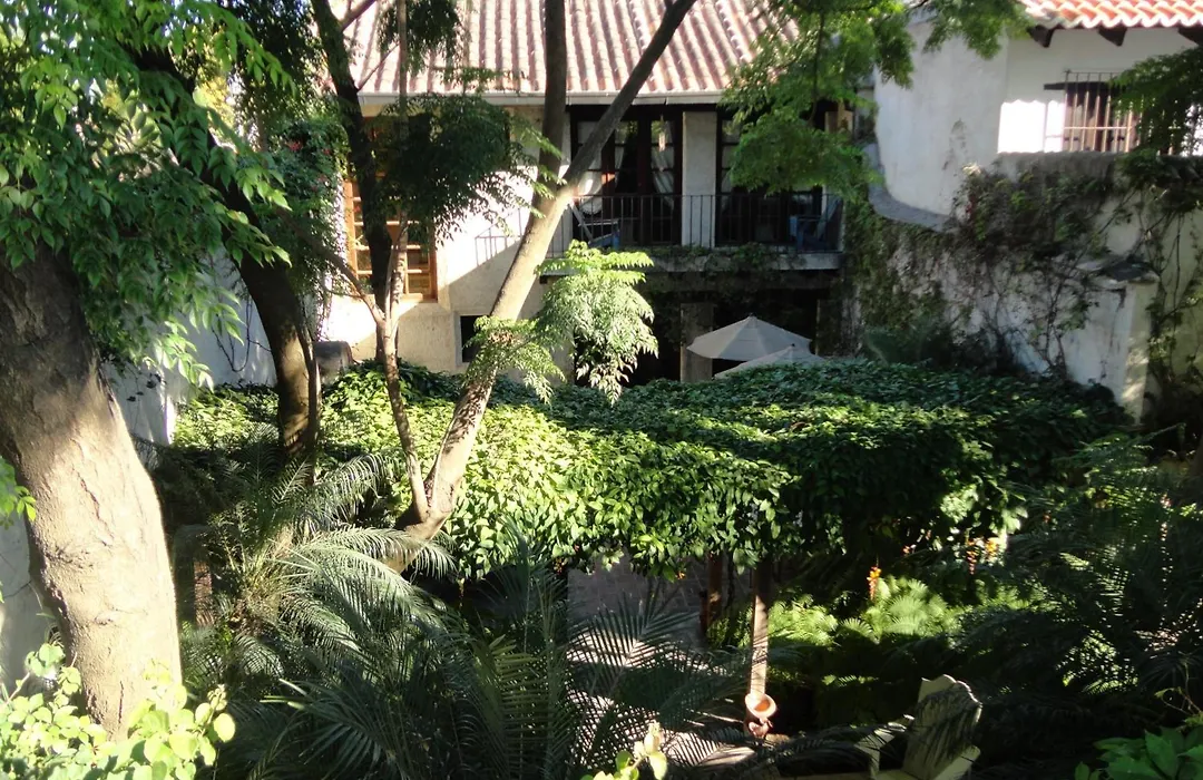 Cissus Hotel Boutique (Adults Only)-1