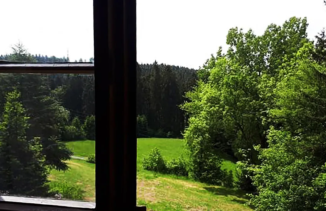 Ring Inn Nürburg-1