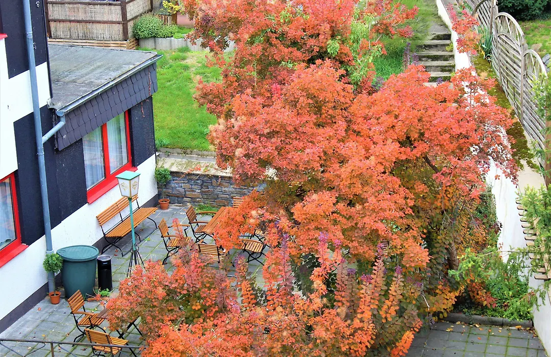 Hotel Simonis Koblenz-1