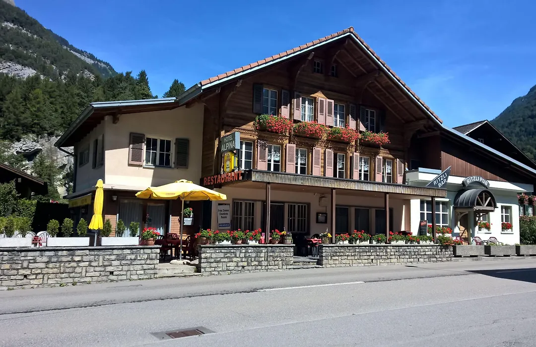 Hotel-Restaurant Alpina-1