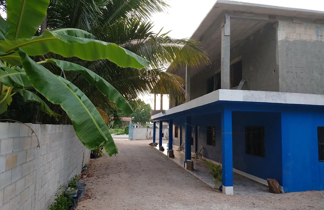 Blue Hotel-1