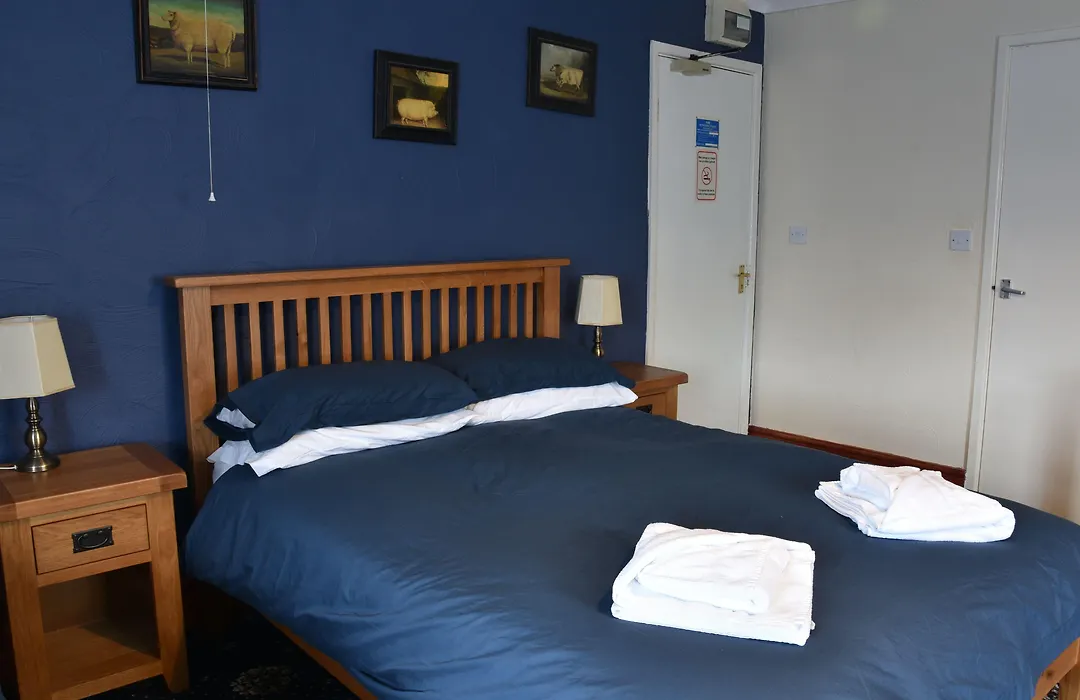 Dinorben Arms Hotel-1