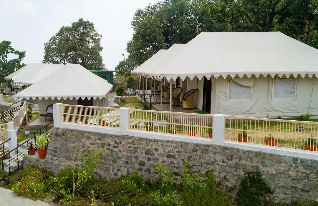 Charekh Food & Forest-1