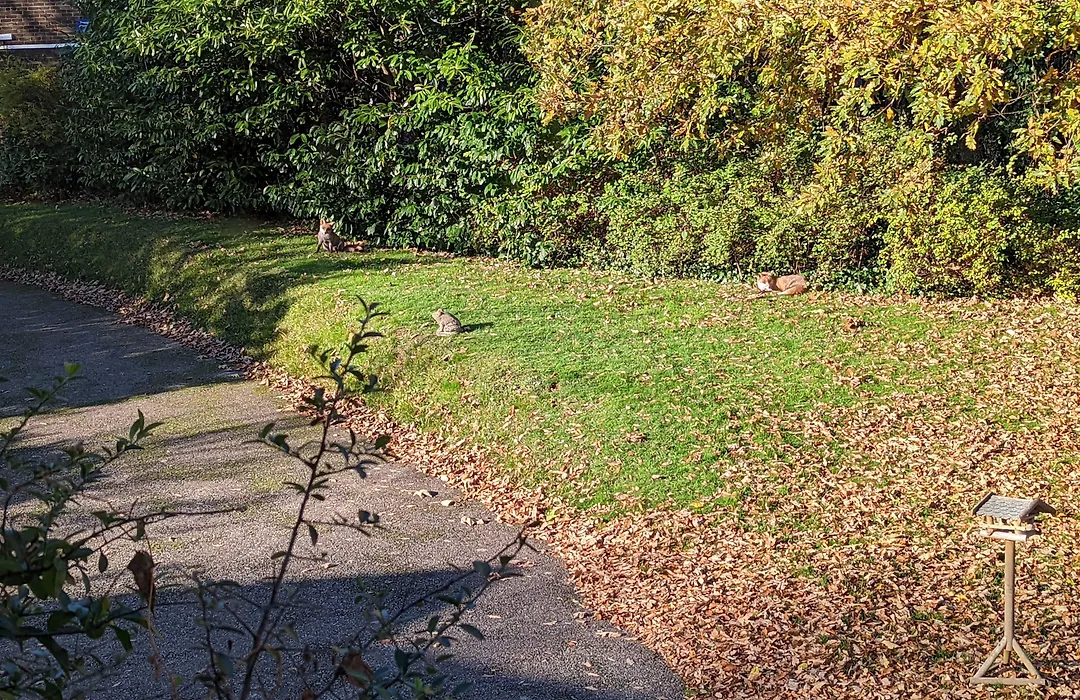 Summerfields House-1