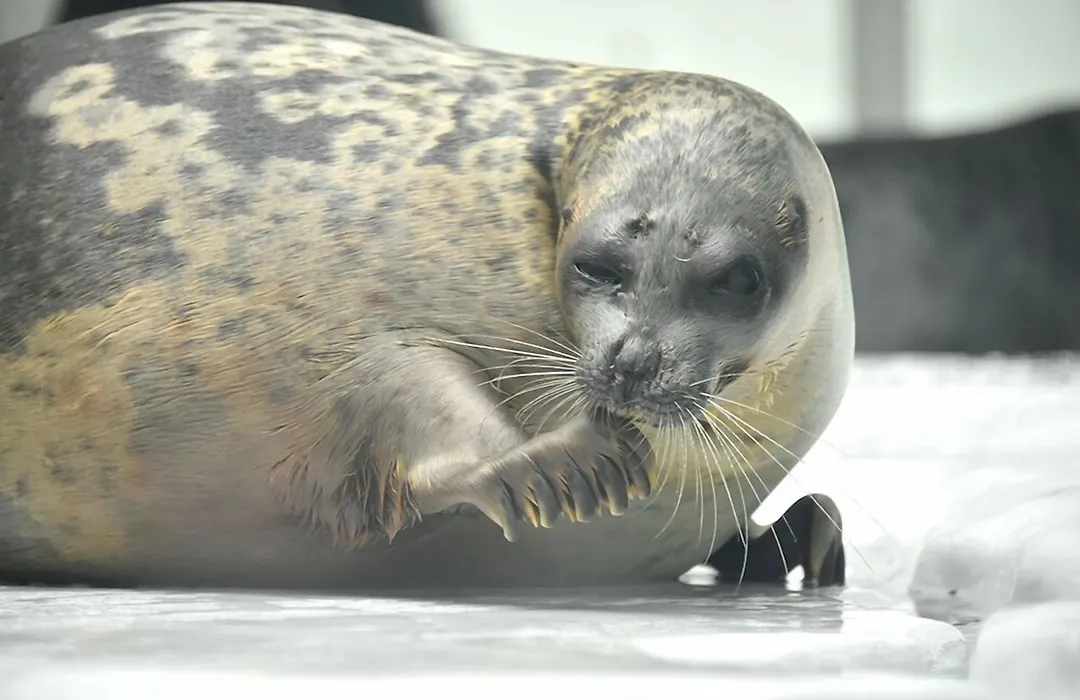 さくらサンズホテル本町-1