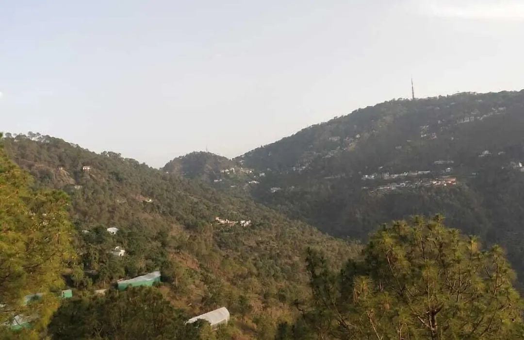 Sun Pine Villa: Forest Retreat with Open-Air Amenities-1