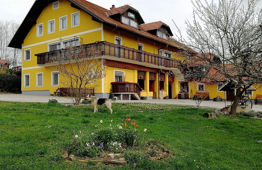 Panorama B&B-1