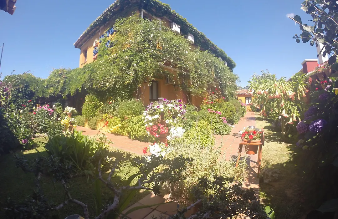 Hotel Donana Blues-1