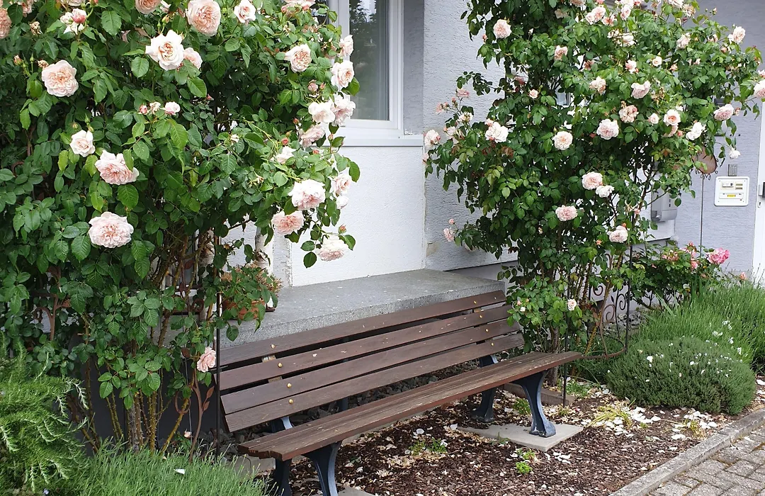 Pension Boitz-1