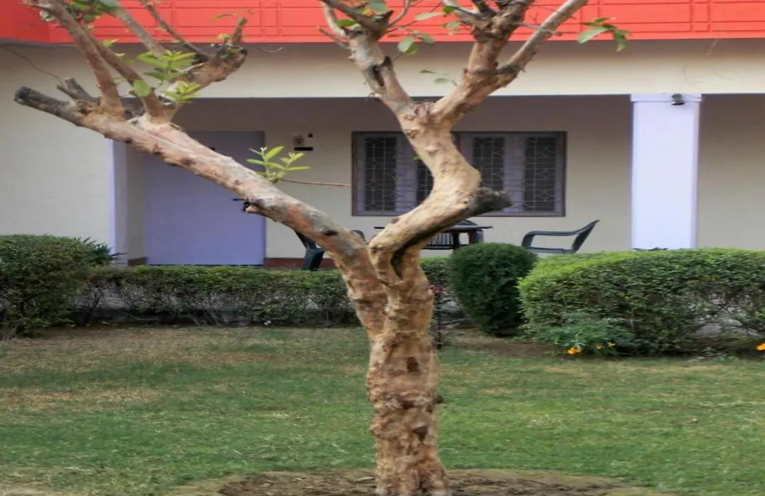Hotel Goverdhan Tourist Complex-1