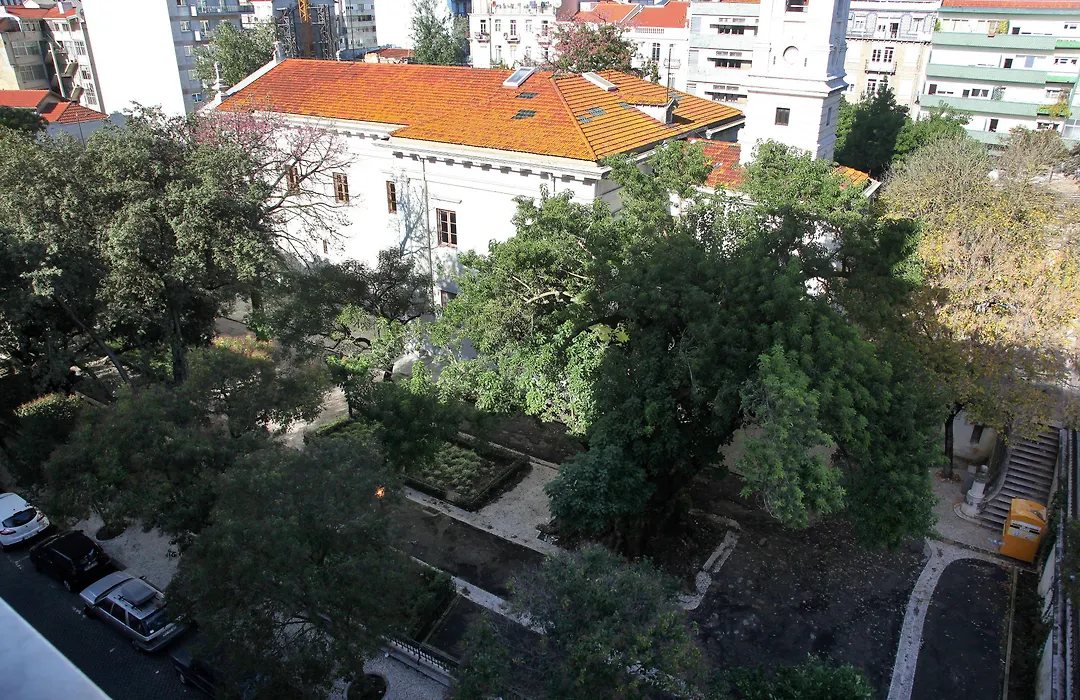 Lisbon Suite Home-1