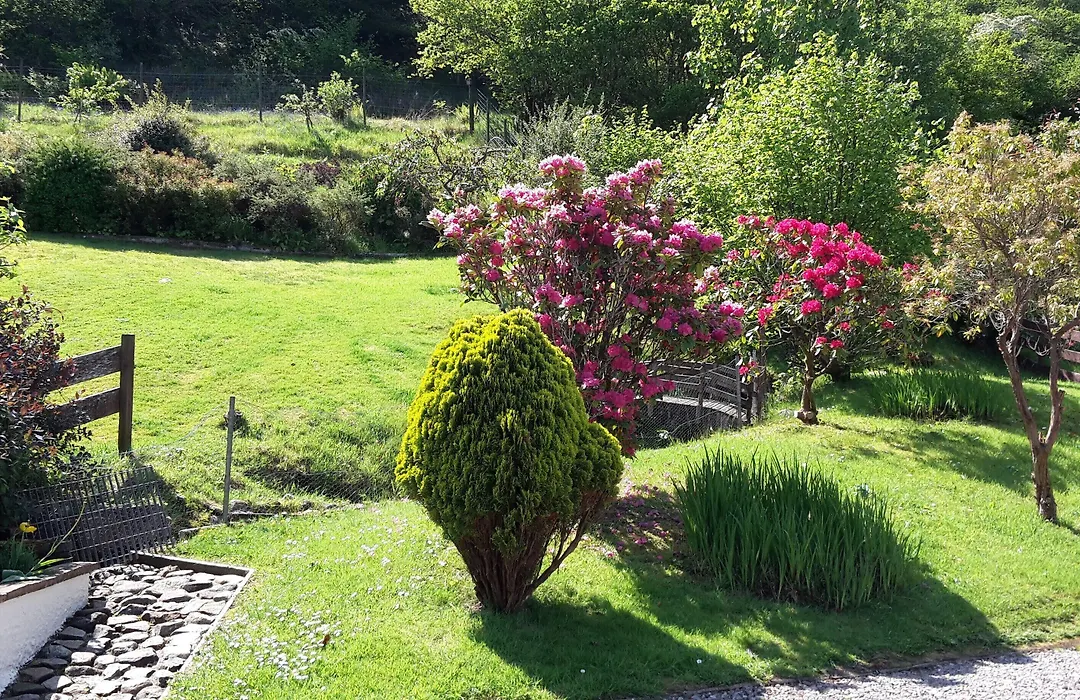 Ben Nevis Guest House-1