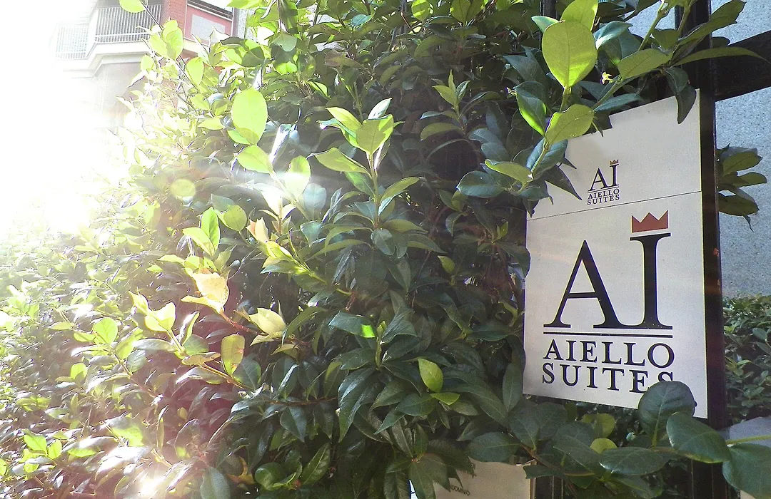 Aiello Suites Executive-1
