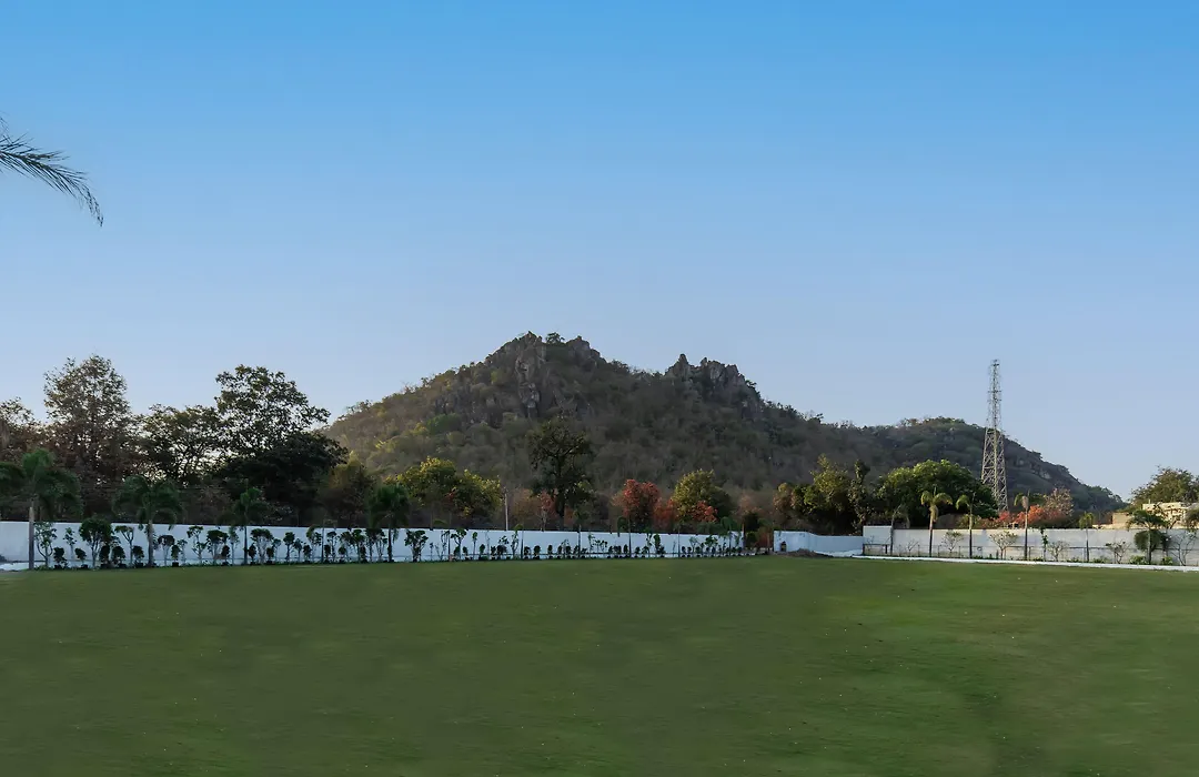 Hotel Bafna Lawn-1