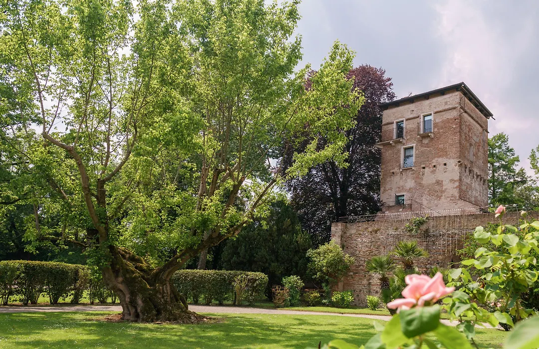 Massimago Wine Tower-1
