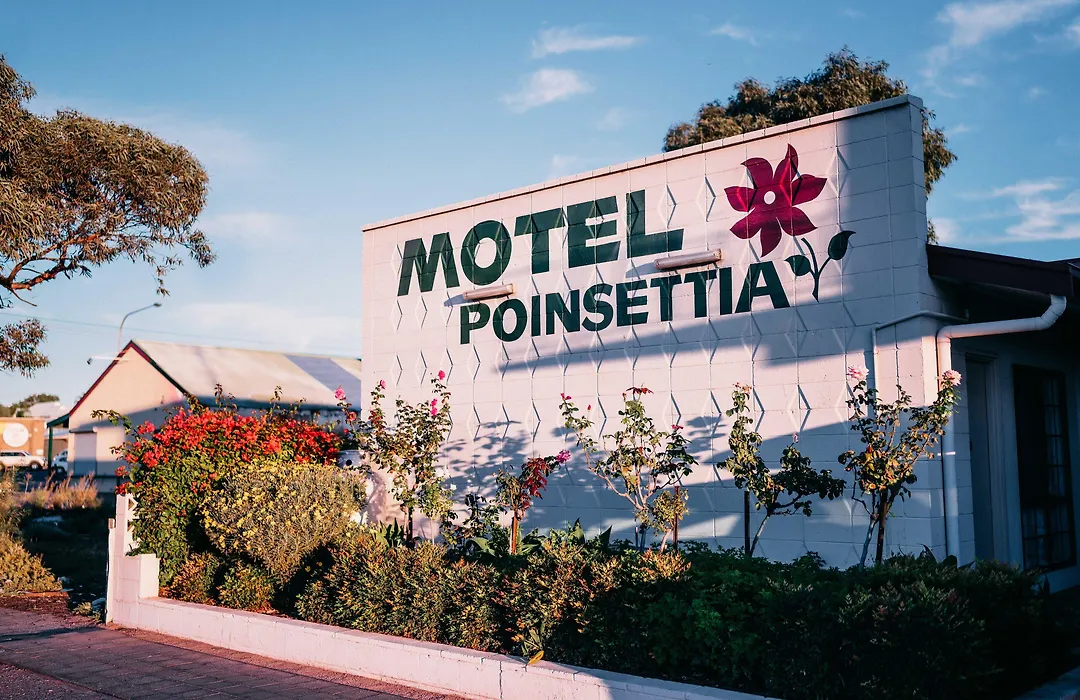 Motel Poinsettia-1
