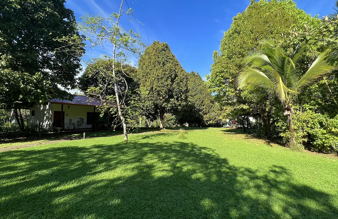 Blue Banyan Inn-1
