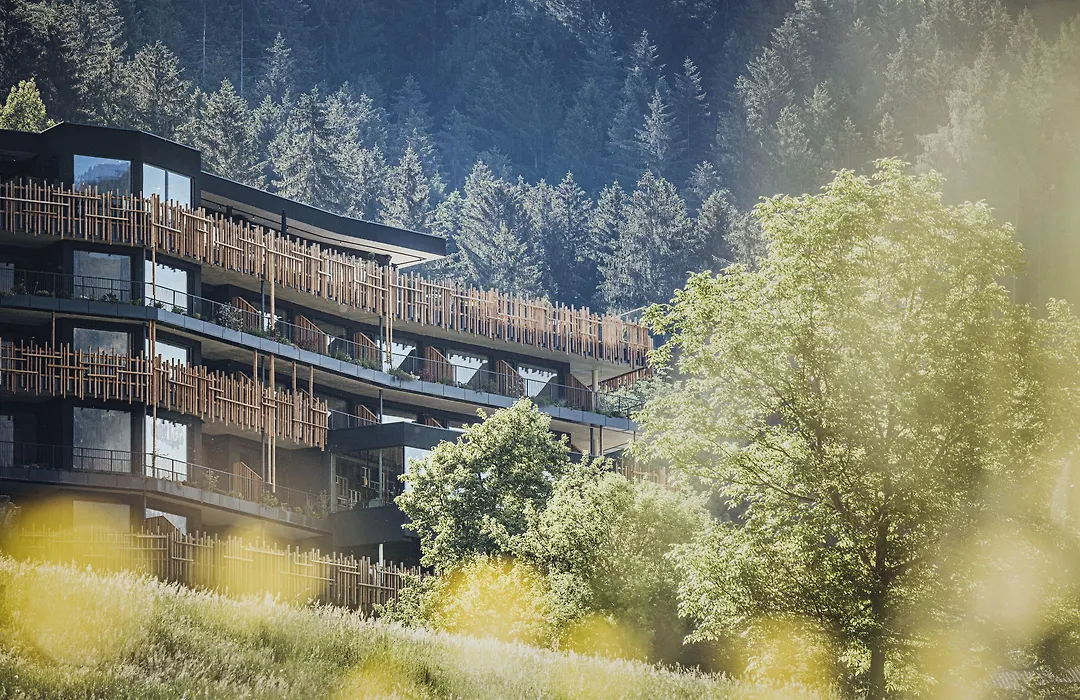Coolnest-1