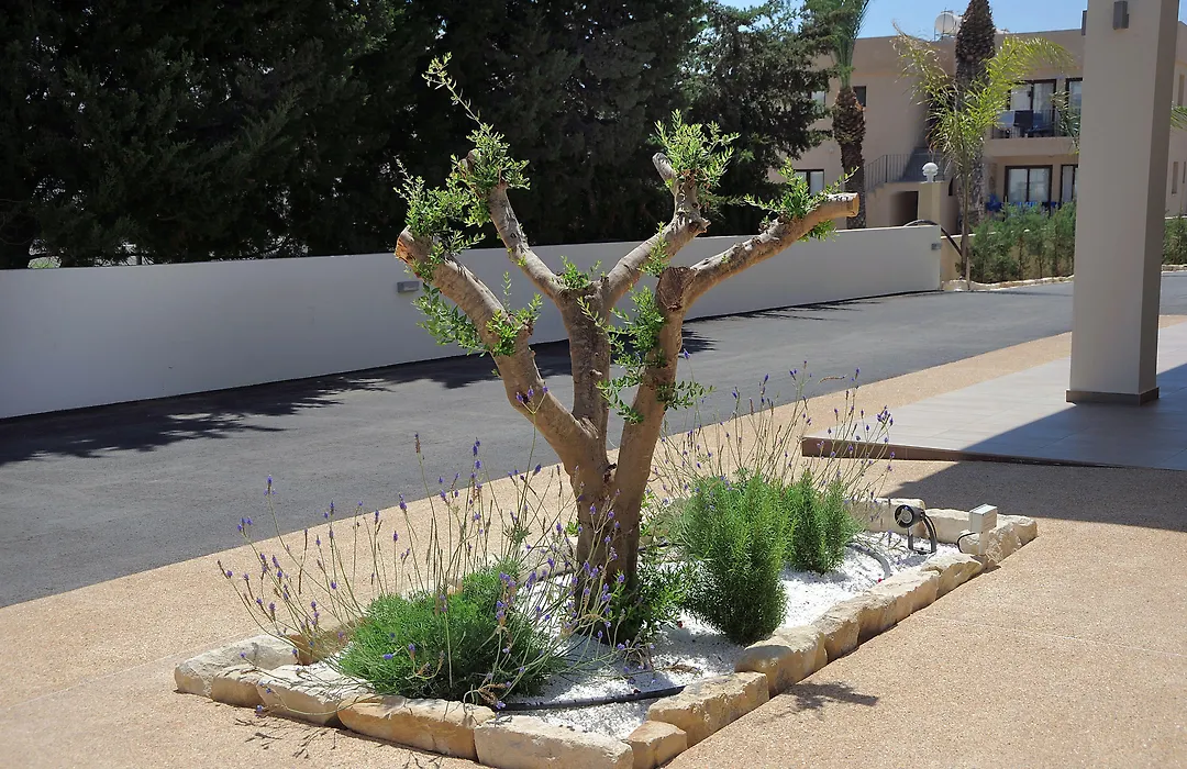 Nelia Gardens-1