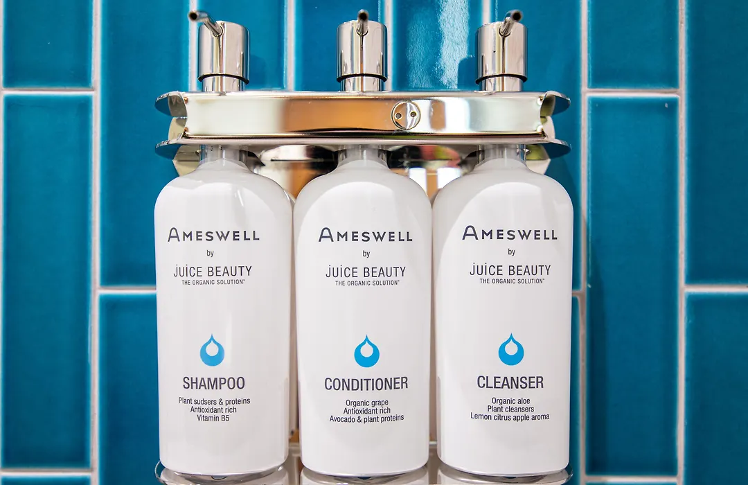 The Ameswell Hotel-1