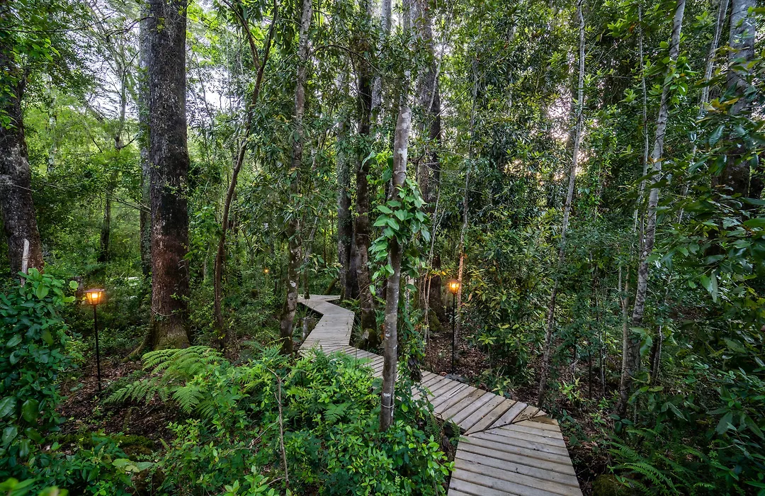 Rakau Lodge-1