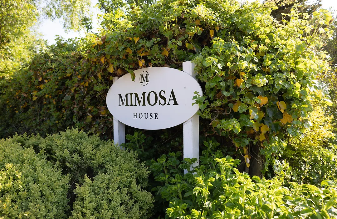 Mimosa House-1