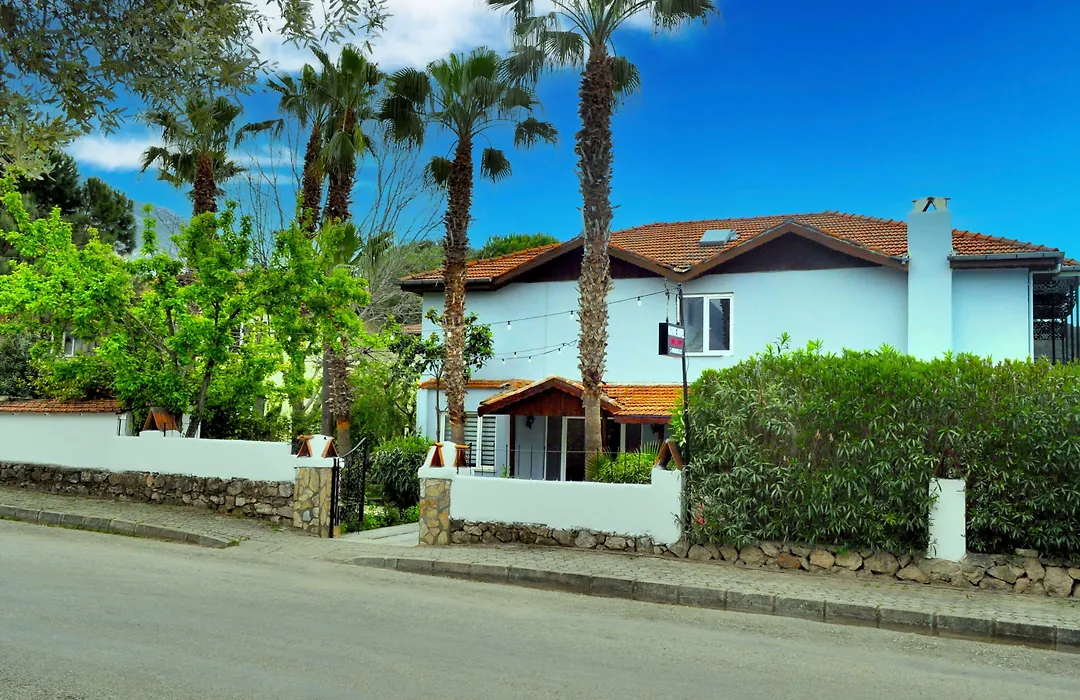 Native Hotel-1