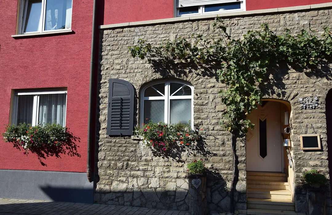 Weingut Manuel Sauer-1