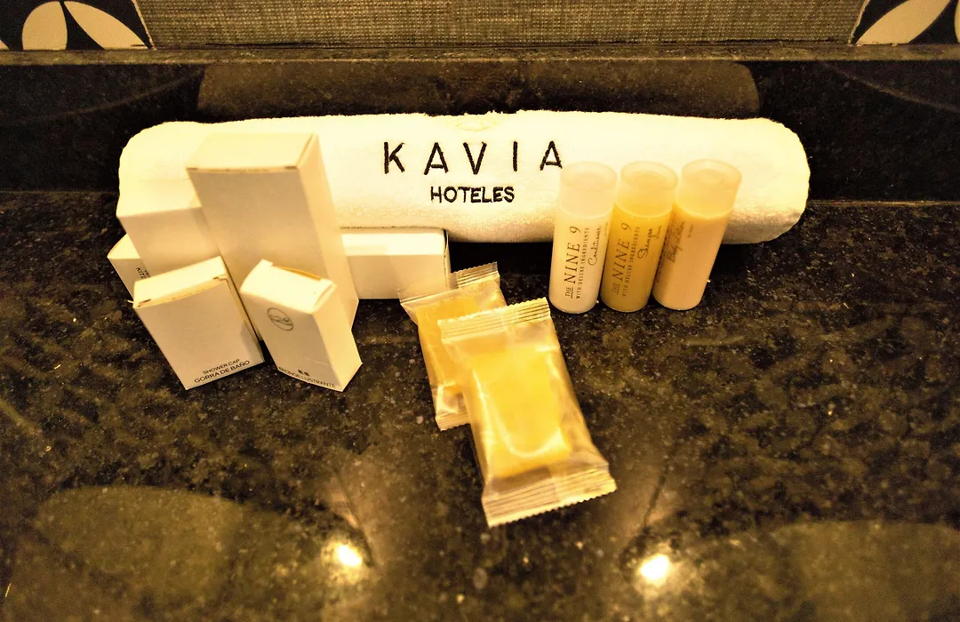 Hotel Plaza By Kavia-1