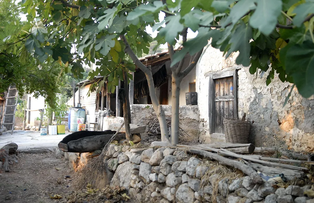Exclusive Boutique Hotel 1-1