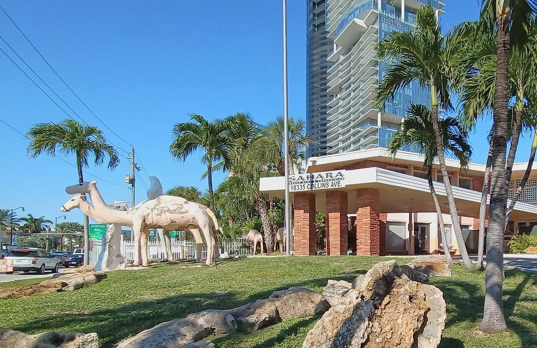 Sahara Beach Club-1