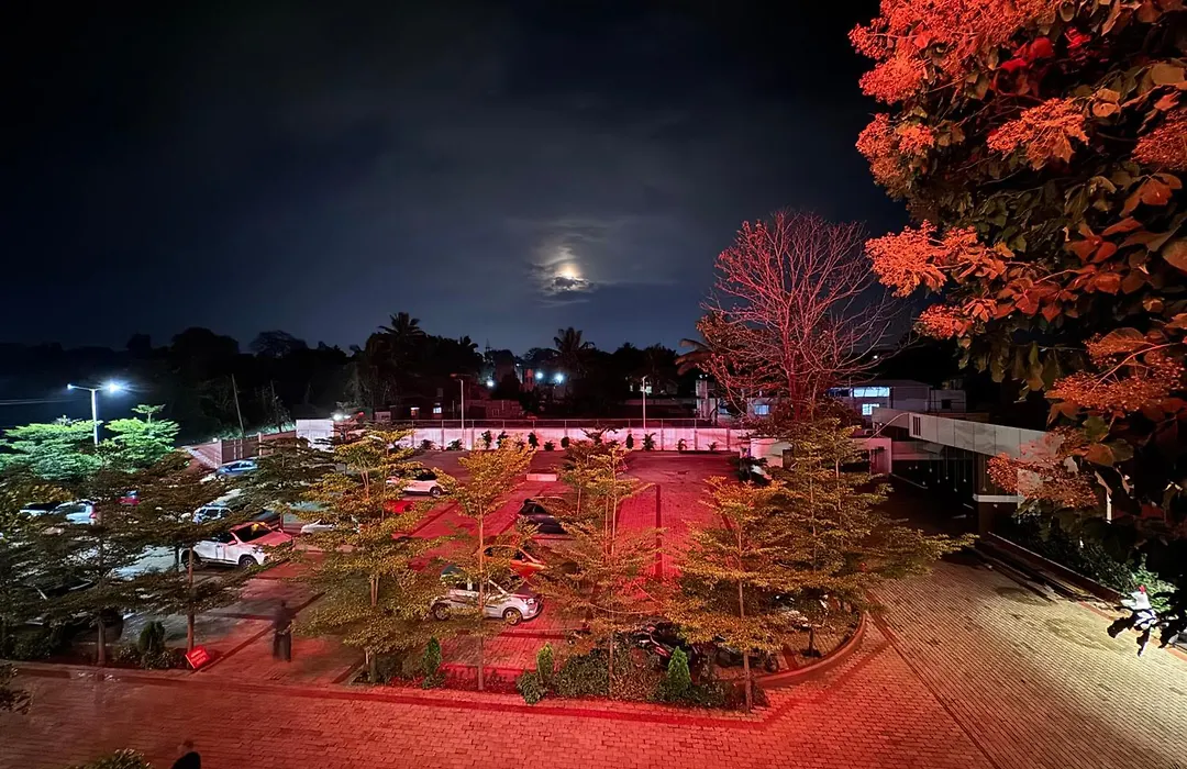 Sairaj Lawns-1