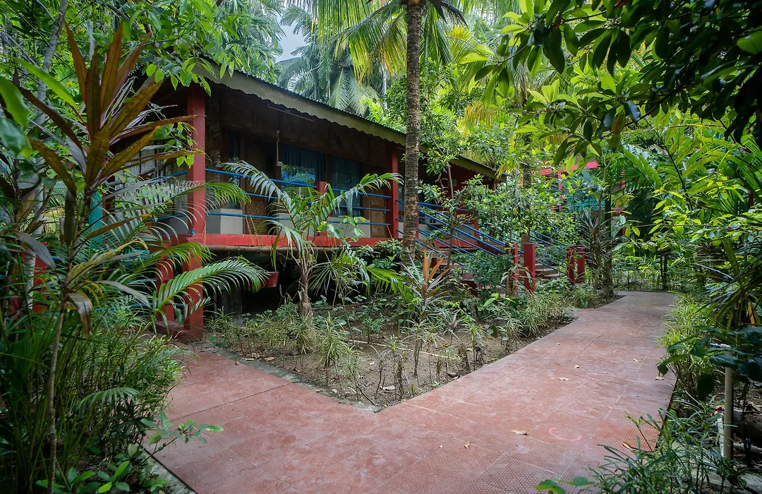 Palm Grove Eco Resort-1