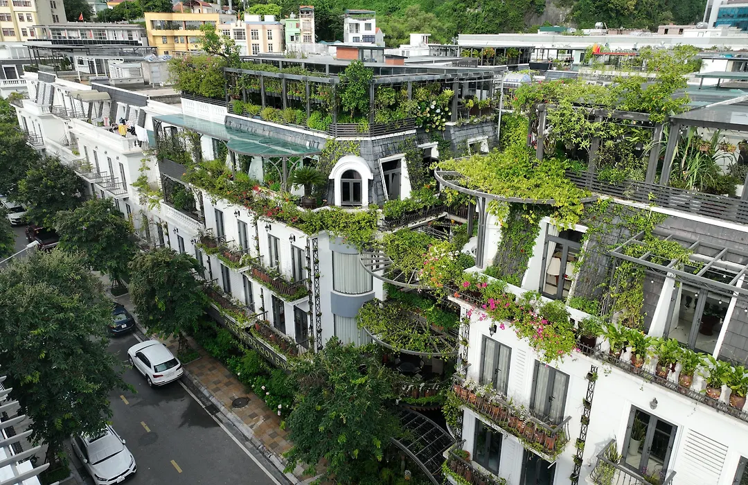 Paris Of Dragon Bay-1