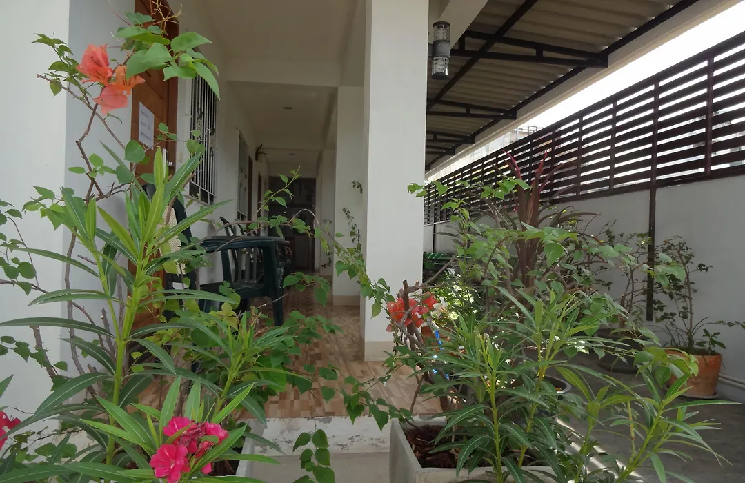 Rena House Chiang Mai-1