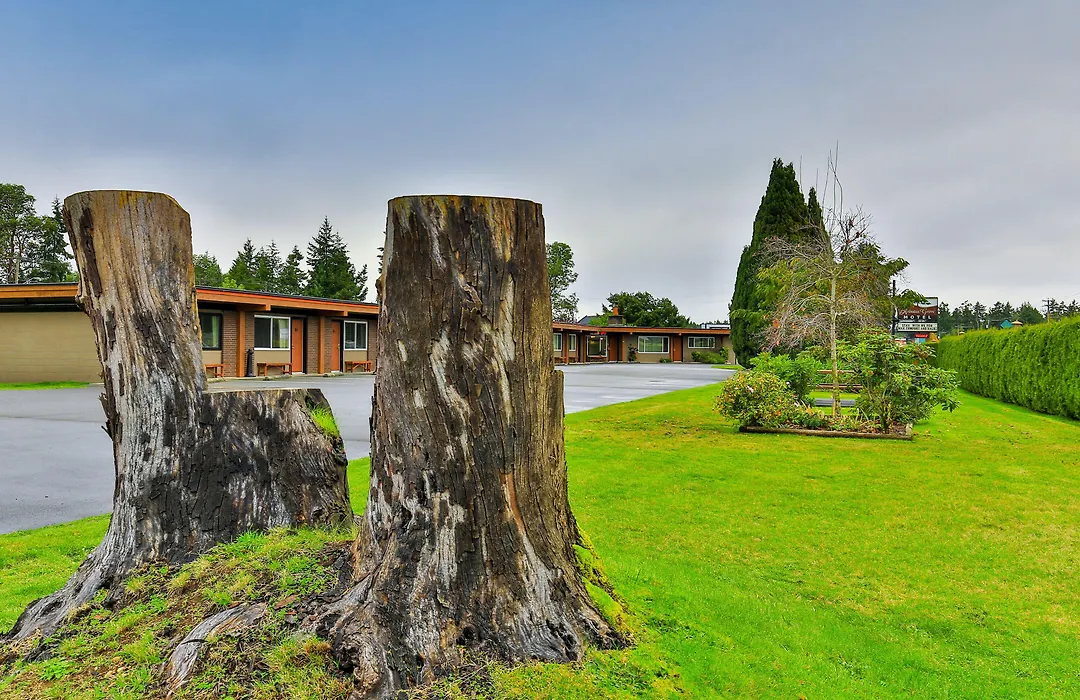 Arbutus Grove Motel-1