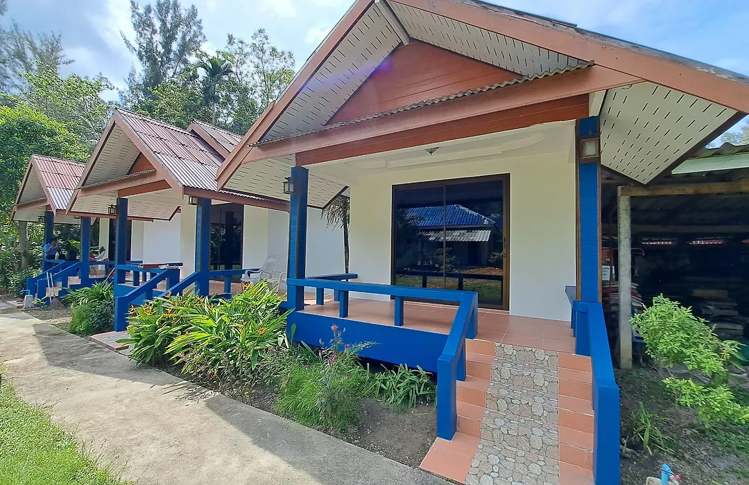 The Blue Gecko-1